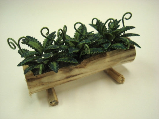 Log Planter with Ferns