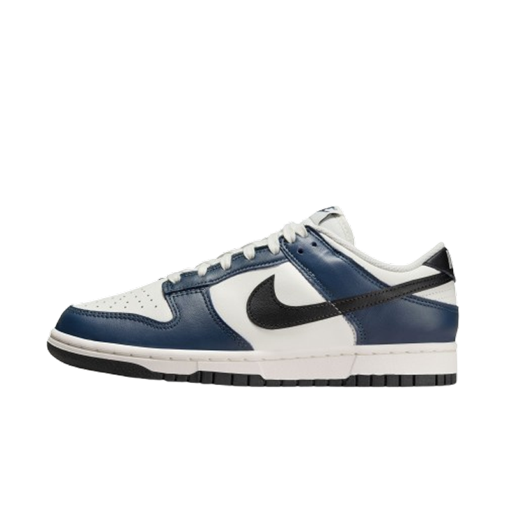 Nike Dunk Low Women's Basketball