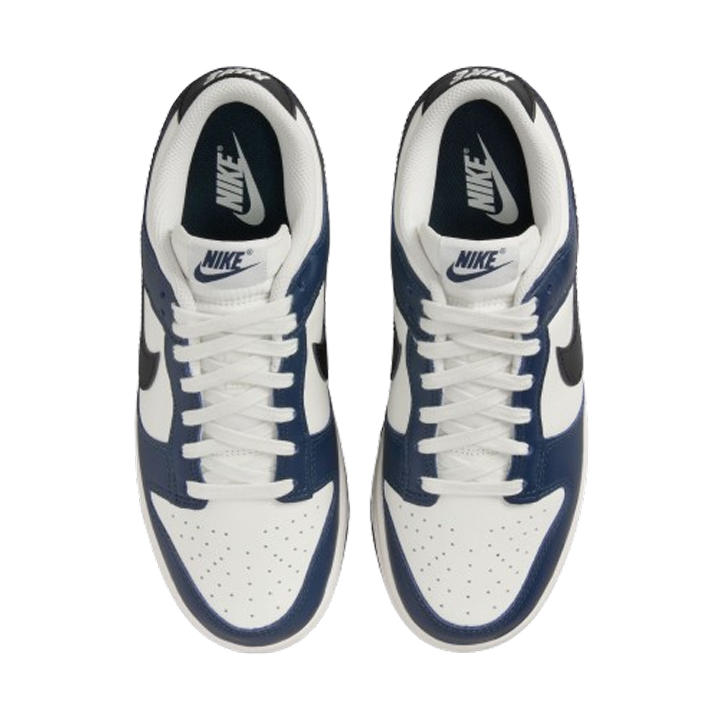 Nike Dunk Low Women's Basketball