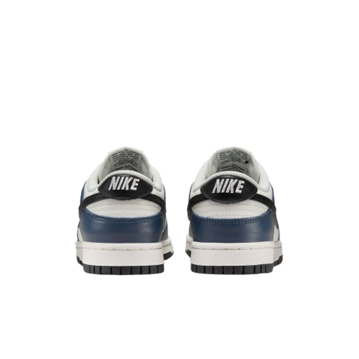 Nike Dunk Low Women's Basketball